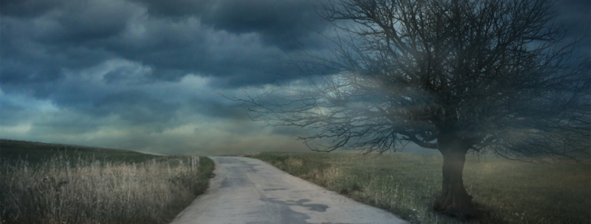 Wide shot of a dark country road with storm clouds and a dead tree